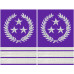 SFASU Pilot Shoulder Board Epaulets - Chief Pilot