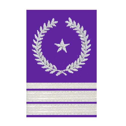 SFASU Pilot Shoulder Board Epaulets - Check Pilot