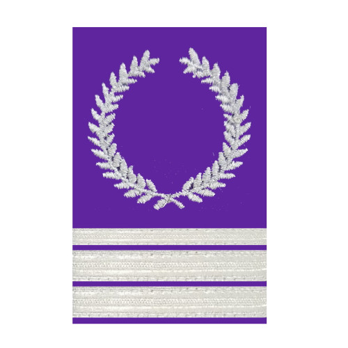SFASU Pilot Shoulder Board Epaulets - Multi Engine Flight Instructor