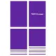 SFASU Flight School Epaulets